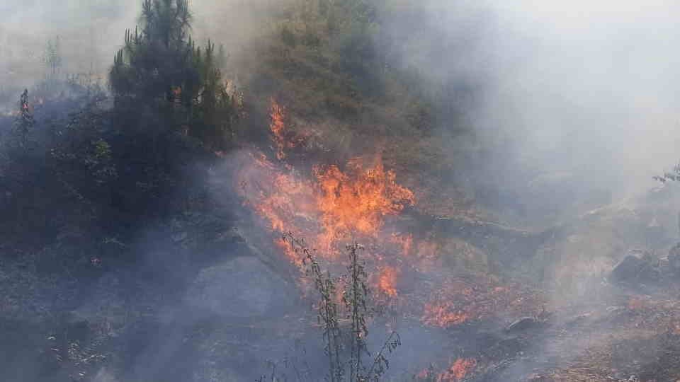 Climate emergency: Life in Europe disrupted due to massive forest fires News In Hindi