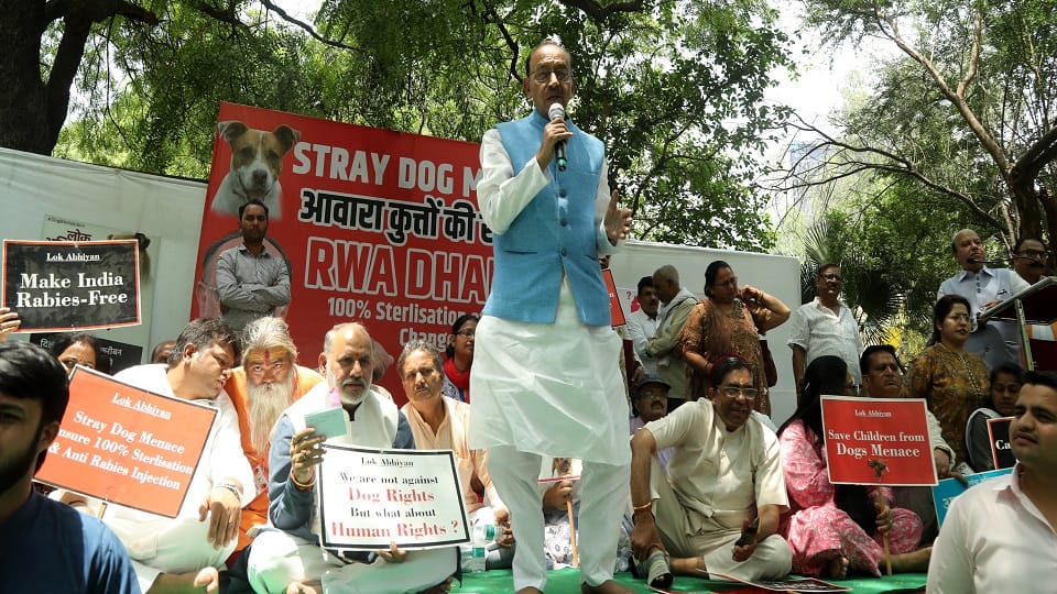 Delhi: RWA-NGO troubled by stray dogs staged a sit-in protest at Jantar Mantar