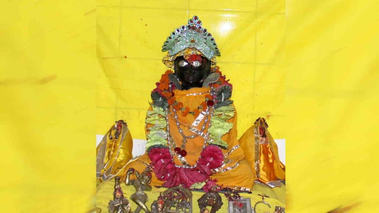 Badrinath: मां लक्ष्मी के रूप में पूजनीय बदरी तुलसी के बिना अधूरी है बदरीविशाल की पूजा, अब सुगंध पर ही संकट