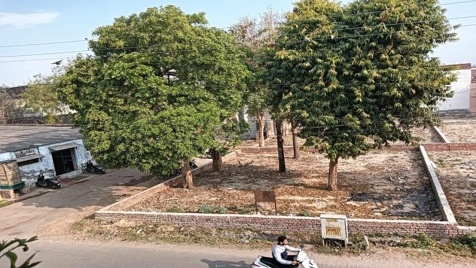 Builder cut down green trees to build a colony police filed a case