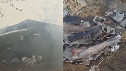 Burhanpur News Fire broke out in Mahajan Colony two cows and buffaloes died and six calves were burnt