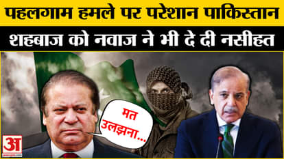 Pahalgam Attack: What did Nawaz Sharif explain to his brother PM Shahbaz on India's action?