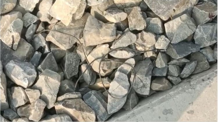 Bihar Accident: हेडफोन लगाकर ट्रैक पार कर रहा था युवक, ट्रेन की चपेट में आने से मौत; मौके पर पहुंची पुलिस