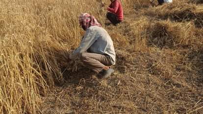 Border Shelling Fails to Shake Arnia Residents' Determination after pagalgam attack