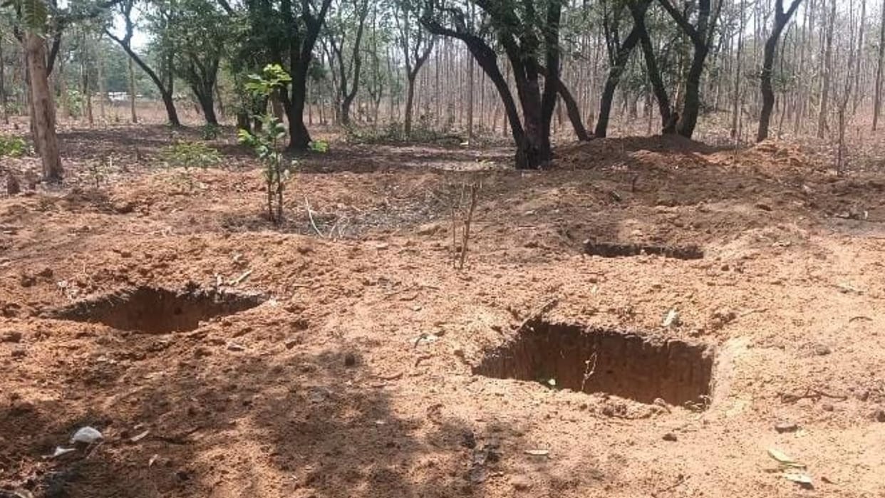 Trees are being cut for illegal occupation in Korba helipad nursery