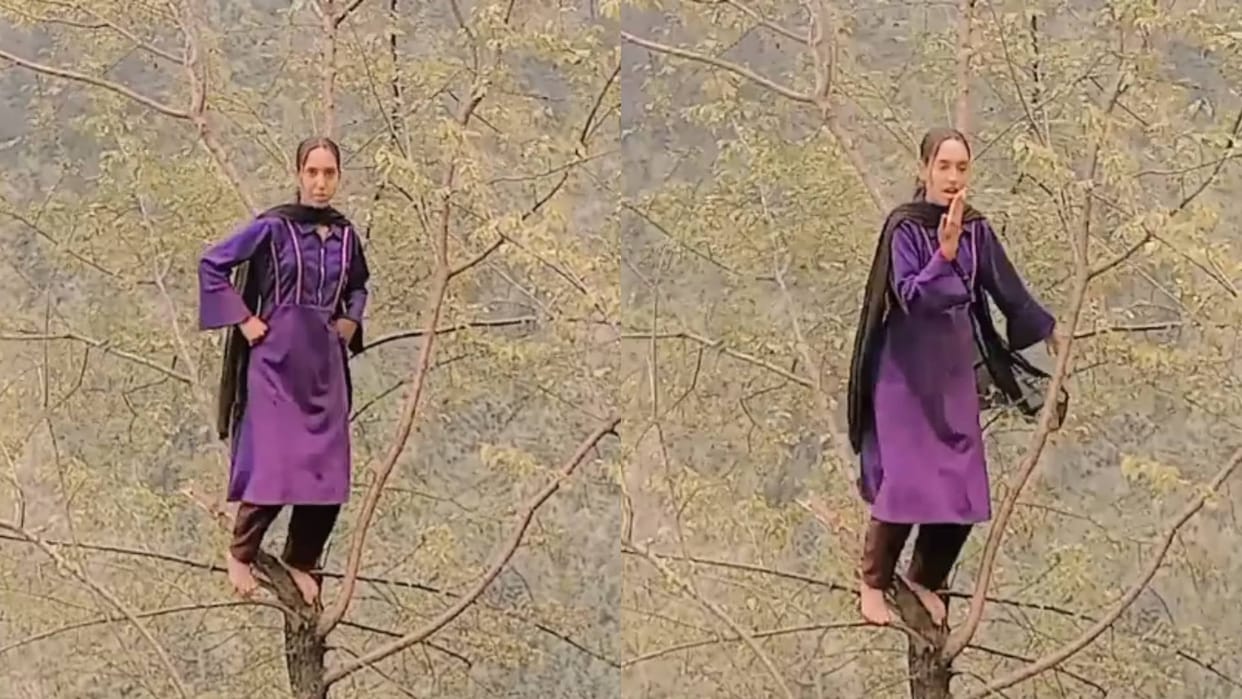 Kashmiri woman made a reel by climbing on the branch of a tree Video goes viral on Internet