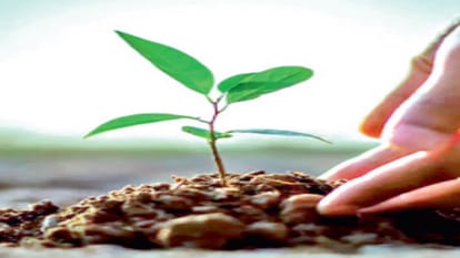 ek ped maa ke naam: Mothers and children planted 5.44 lakh saplings in Himachal