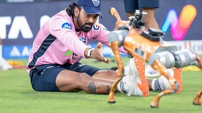 Delhi High Court issues notice to BCCI on publisher plea over IPL naming AI robot dog Champak sought response