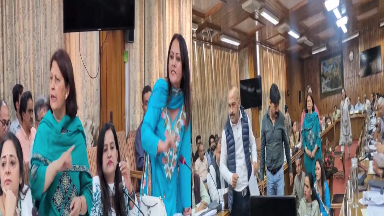 Uproar in the mc shimla House over the issue of stray dog bites, Congress councilors sit on dharna
