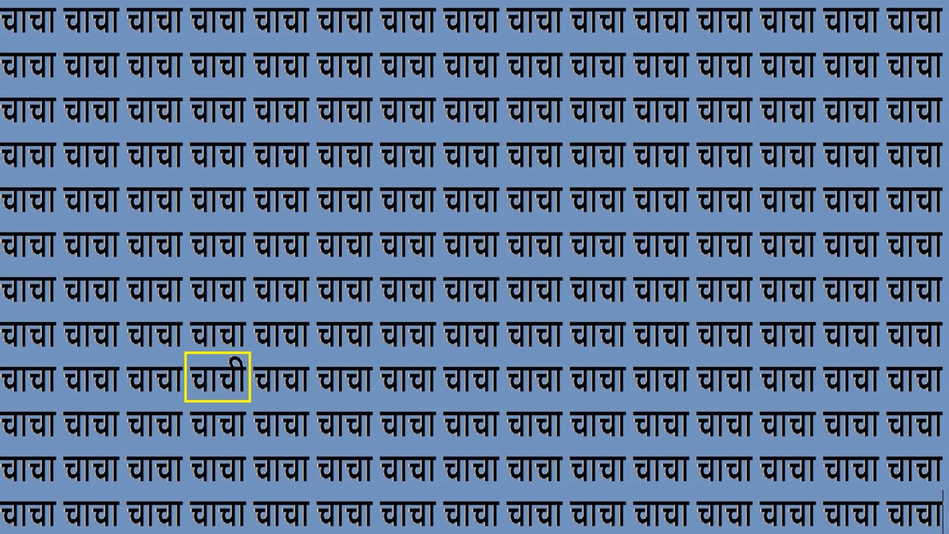Optical Illusion IQ Test Brain Test Can You Spot Chachi in 15 Seconds brain teaser image