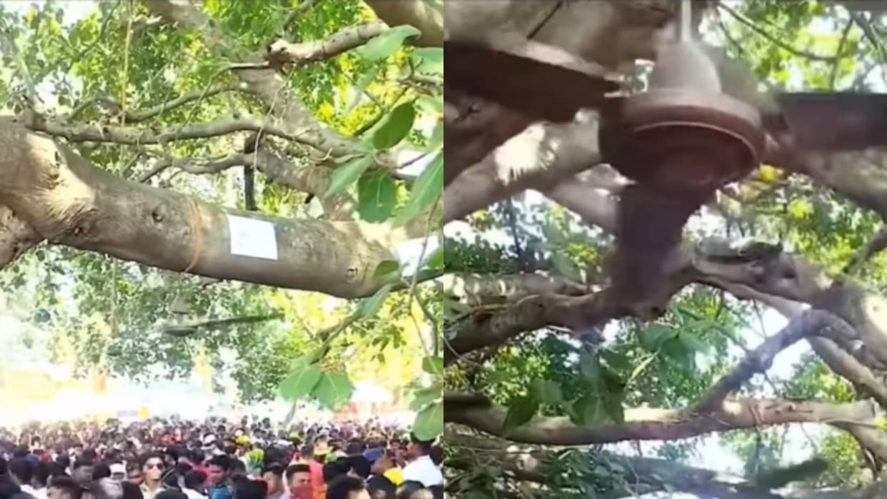 Villagers tied electric fans to trees to get fresh air Video goes viral on Internet See Netizens reaction