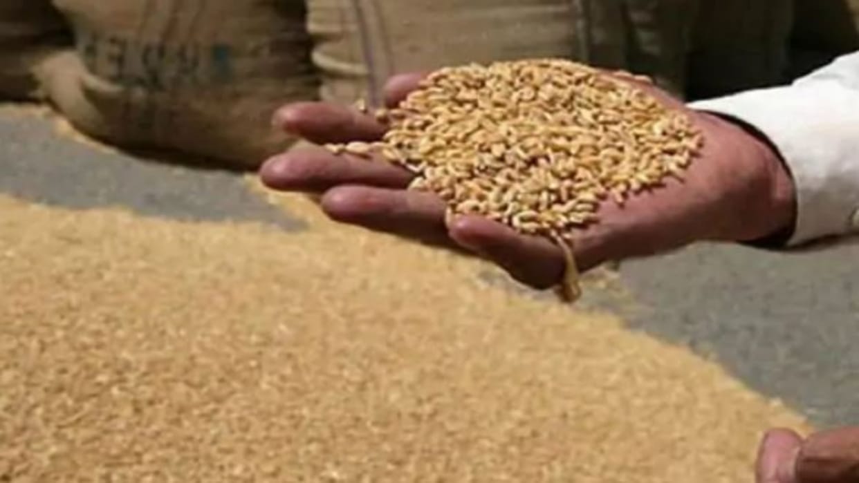Rajasthan News: Final Day for Ineligible NFSA Beneficiaries to Opt Out, Penalty Imposed if Not Complied