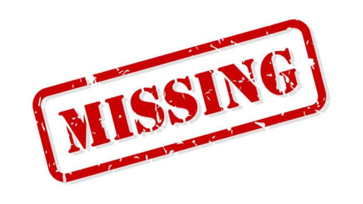 A young man and woman from Chandigarh and Punjab went missing during the Churdhar Yatra both were rescued