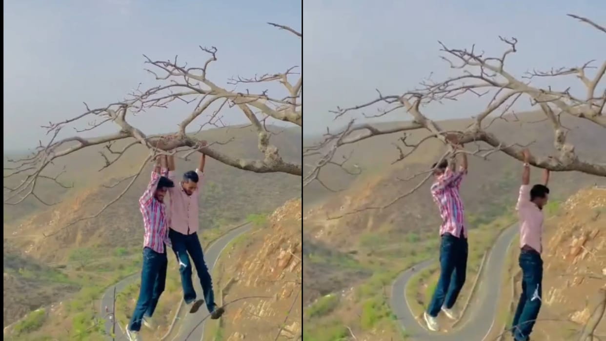Two boys hung on a thin branch of a dry tree to make a reel Video Goes viral on Internet see netizens reaction