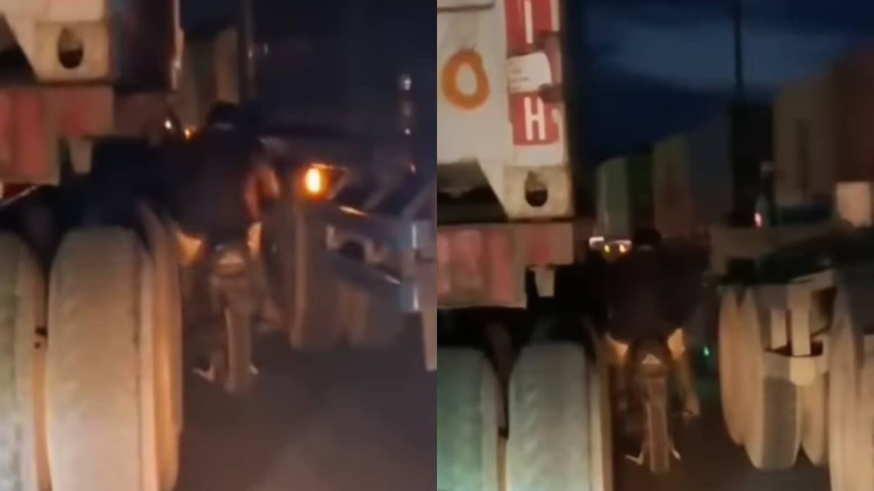 Biker did a dangerous stunt between two trucks Video goes viral on Internet See netizens reaction