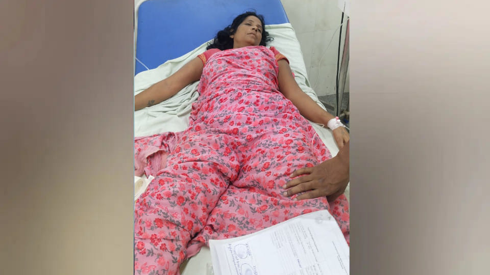 Brother and sister died in Harpur Budhat of Gorakhpur, mother also died on Thursday in BRD Medical,