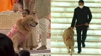 मुकेश अंबानी के कुत्ते का निधन।