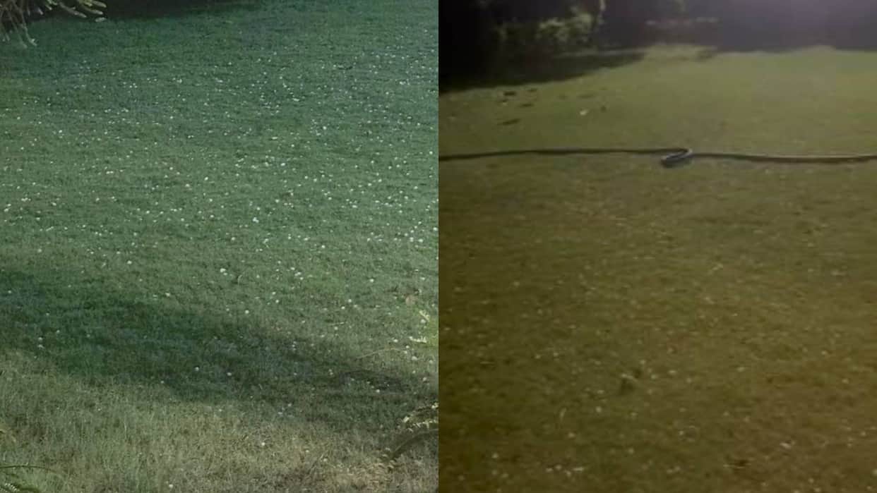 Rajasthan Weather changed again Hailstorm accompanied by strong storm in Jaipur Tonk Dausa and Sawaimadhopur