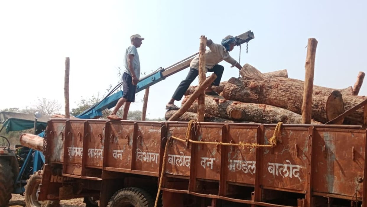 Forest department raid and sealed Devangan Saw Mill along with banned wood in Balod