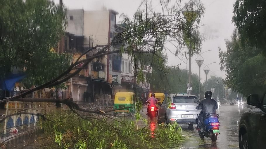 Delhi NCR Rain Photos Trees uprooted in storm in Delhi NCR