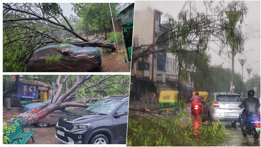 Delhi NCR Rain Photos Trees uprooted in storm in Delhi NCR