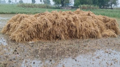 Meerut Weather Forecast: heavy rain for three hours in west UP,