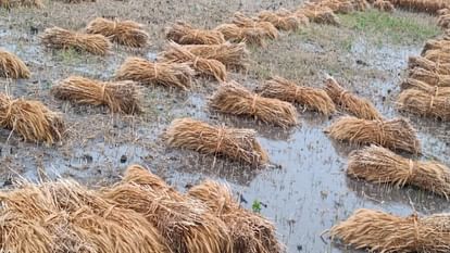 Meerut Weather Forecast: heavy rain for three hours in west UP,