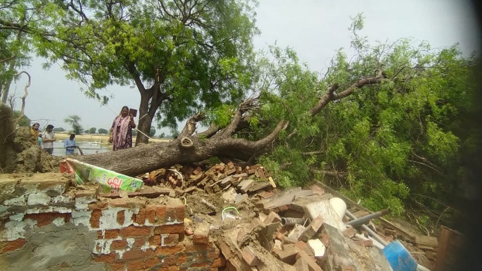 Four people died after a tree fell on a room due to strong storm and heavy rain in Delhi