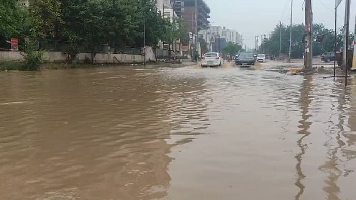 Delhi NCR Rain Photos Trees uprooted in storm in Delhi NCR