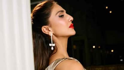 Vaani Kapoor deleted all posts from her Instagram handle related Abir Gulaal With Pakistani Actor Fawad Khan