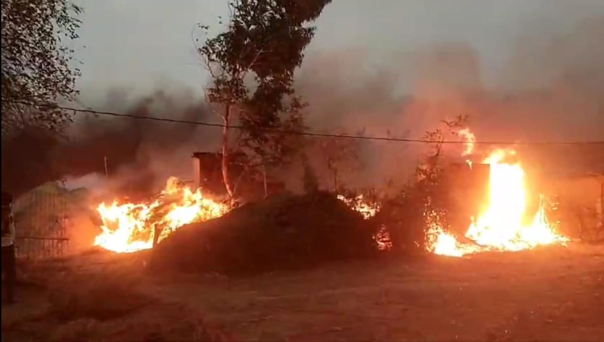 Fire caused due to unknown reasons engulfed 12 houses