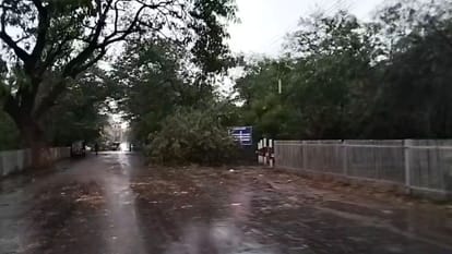 Heavy rain with thunderstorm in Raipur: Winds will blow at a speed of 50-60 km in these districts of the state