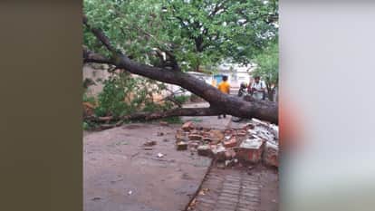 Anuppur: Storm causes massive destruction, power supply disrupted in four municipal areas