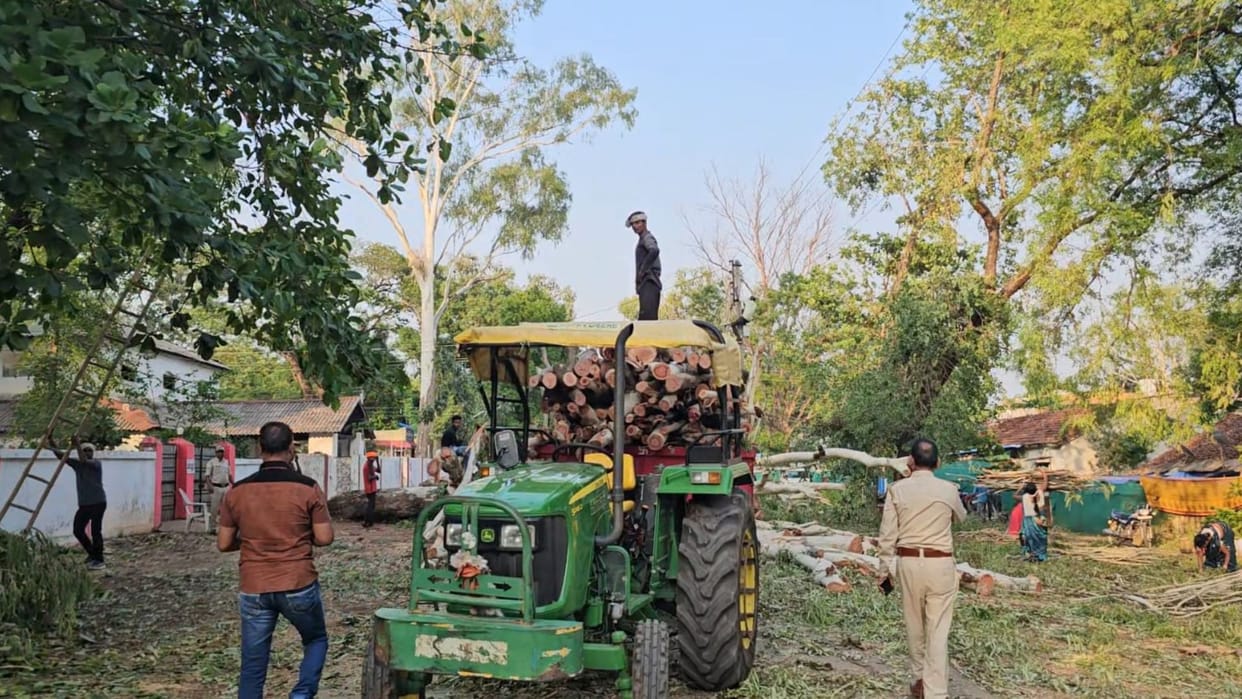 Trees are being felled in broad daylight in Kondagaon