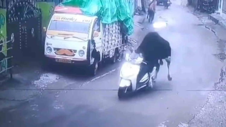 Rishikesh: खड़ी स्कूटी पर चढ़ा सांड...फिर धकेलता हुआ ले गया; वीडियो वायरल होने के बाद बढ़ी लोगों की चिंता