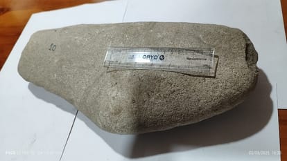 डायनासोर का अंडा!