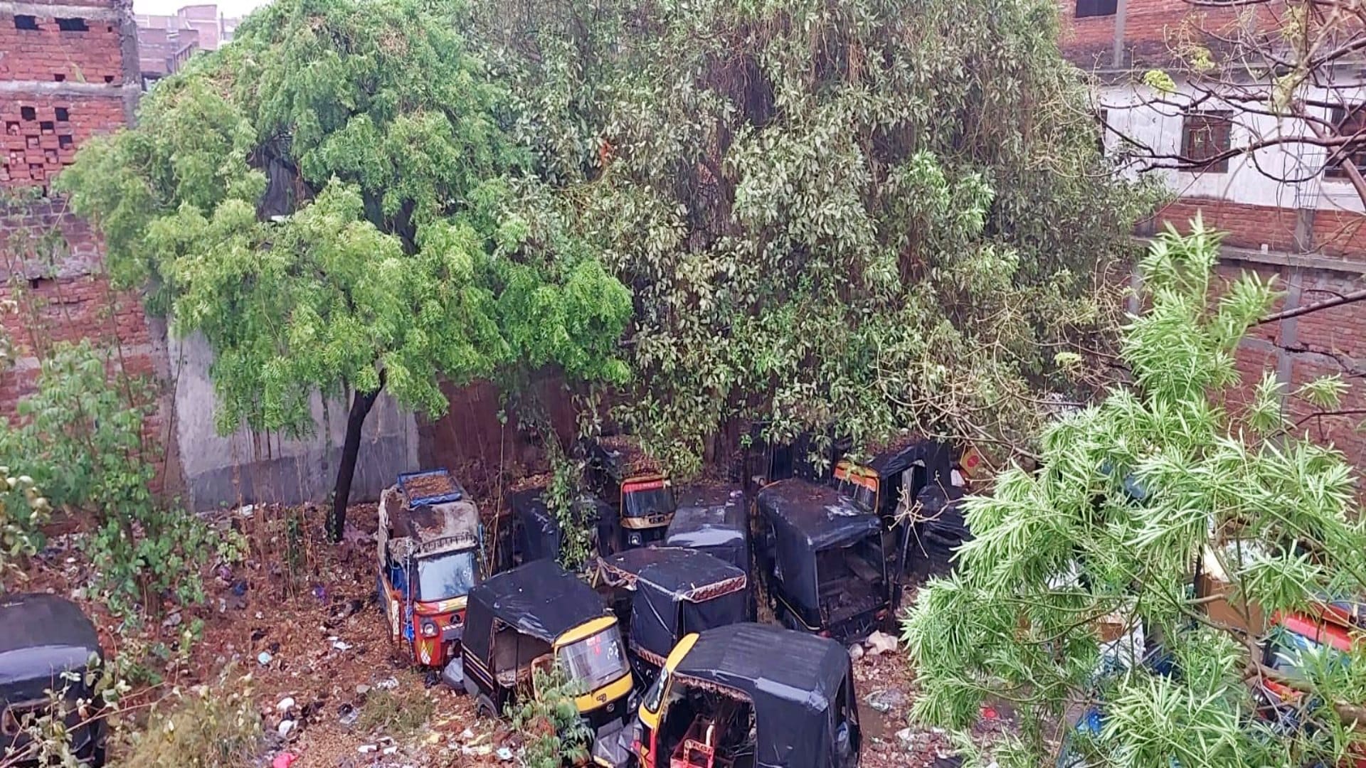 Bihar Weather: People got relief from rain accompanied by strong winds, weather changed in Rohtas