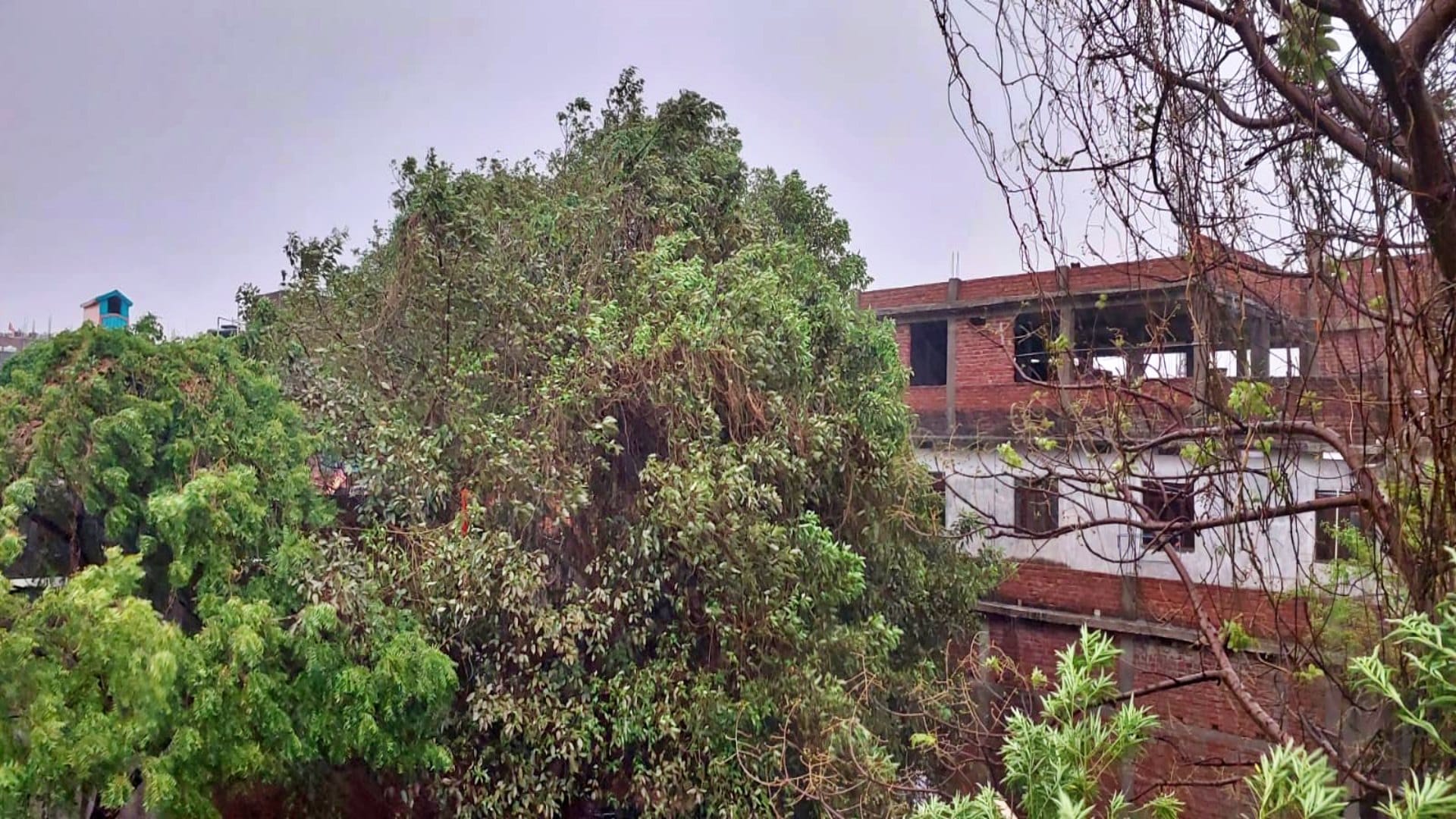 Bihar Weather: People got relief from rain accompanied by strong winds, weather changed in Rohtas