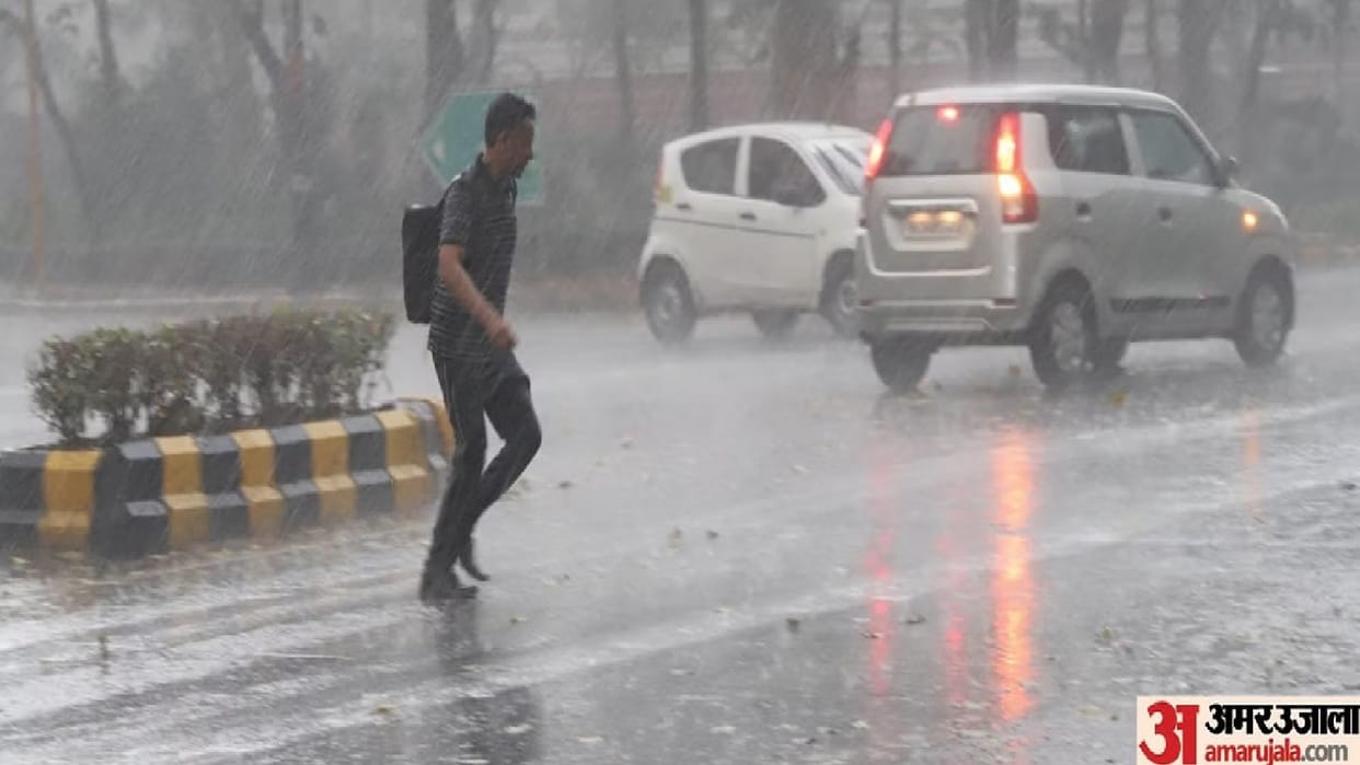 Storm and rain wreak havoc in Gujarat, trees fell, houses collapsed, 14 people died; IMD issued alert