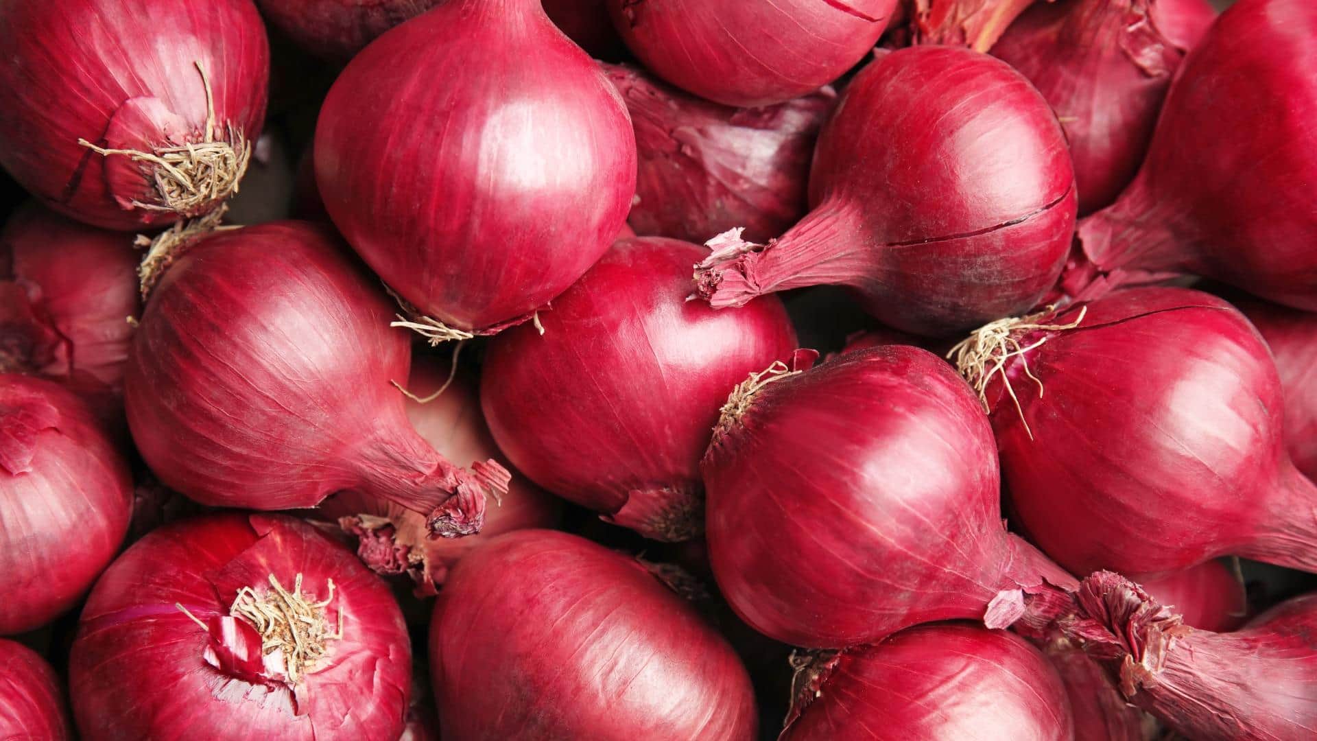 does keeping an onion in your pocket protect you from heat stroke jeb me pyaj rakhne se kya hota hai