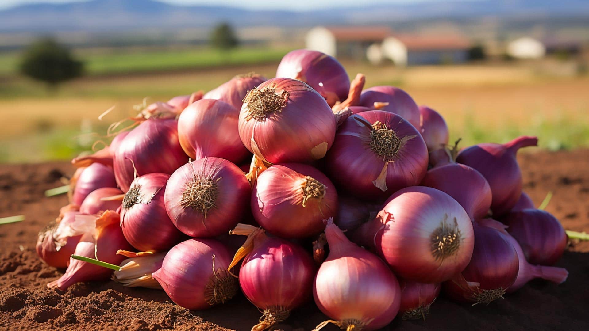 does keeping an onion in your pocket protect you from heat stroke jeb me pyaj rakhne se kya hota hai