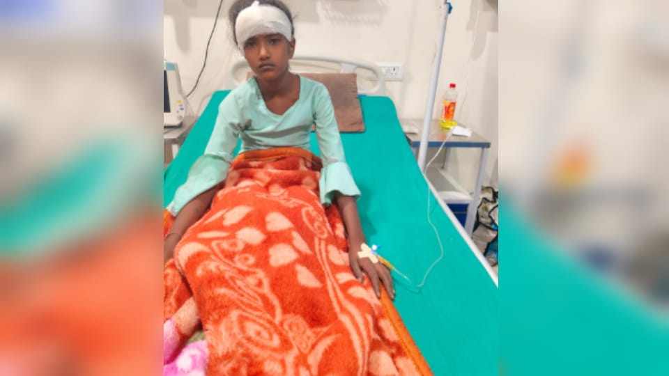 Bijnor: Girl injured in leopard attack, Anshika had gone with family to peel sugarcane in the field, panic amo