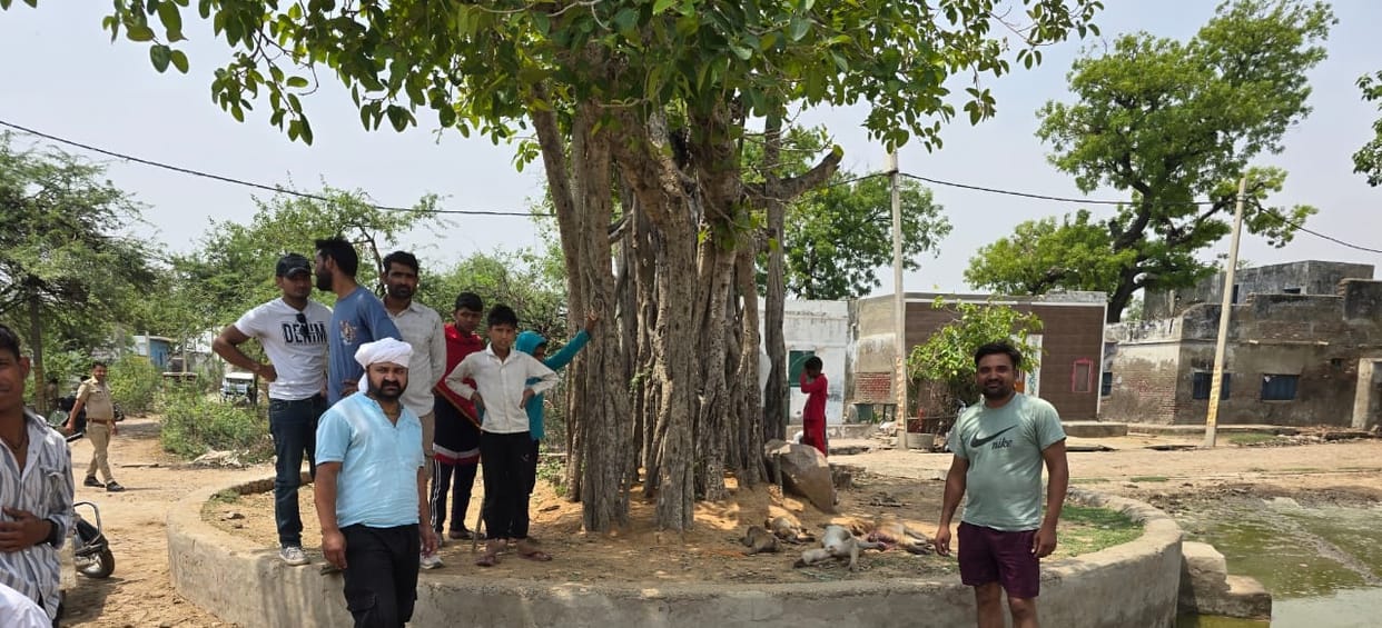 death of monkeys in govardhan parikrama marg foreigner in police custody in Mathura