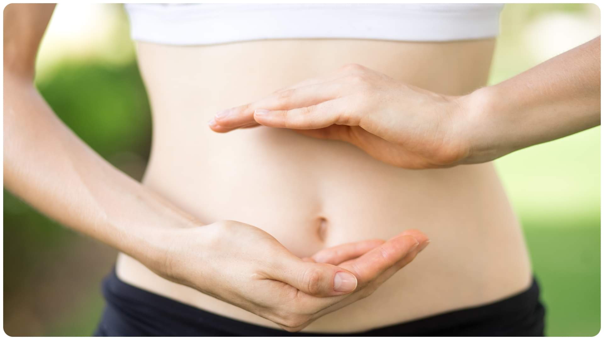 पाचन तंत्र