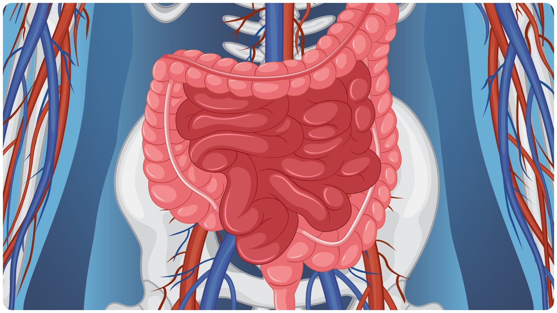 Health Tips: Cholesterol Rising Root Cause Know from doctor in hindi