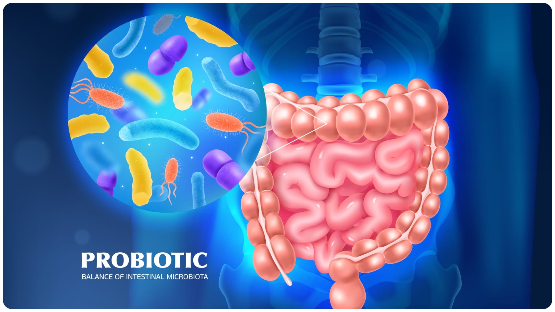 Gut health and heart disease risk know the connection high trimethylamine N-oxide problem