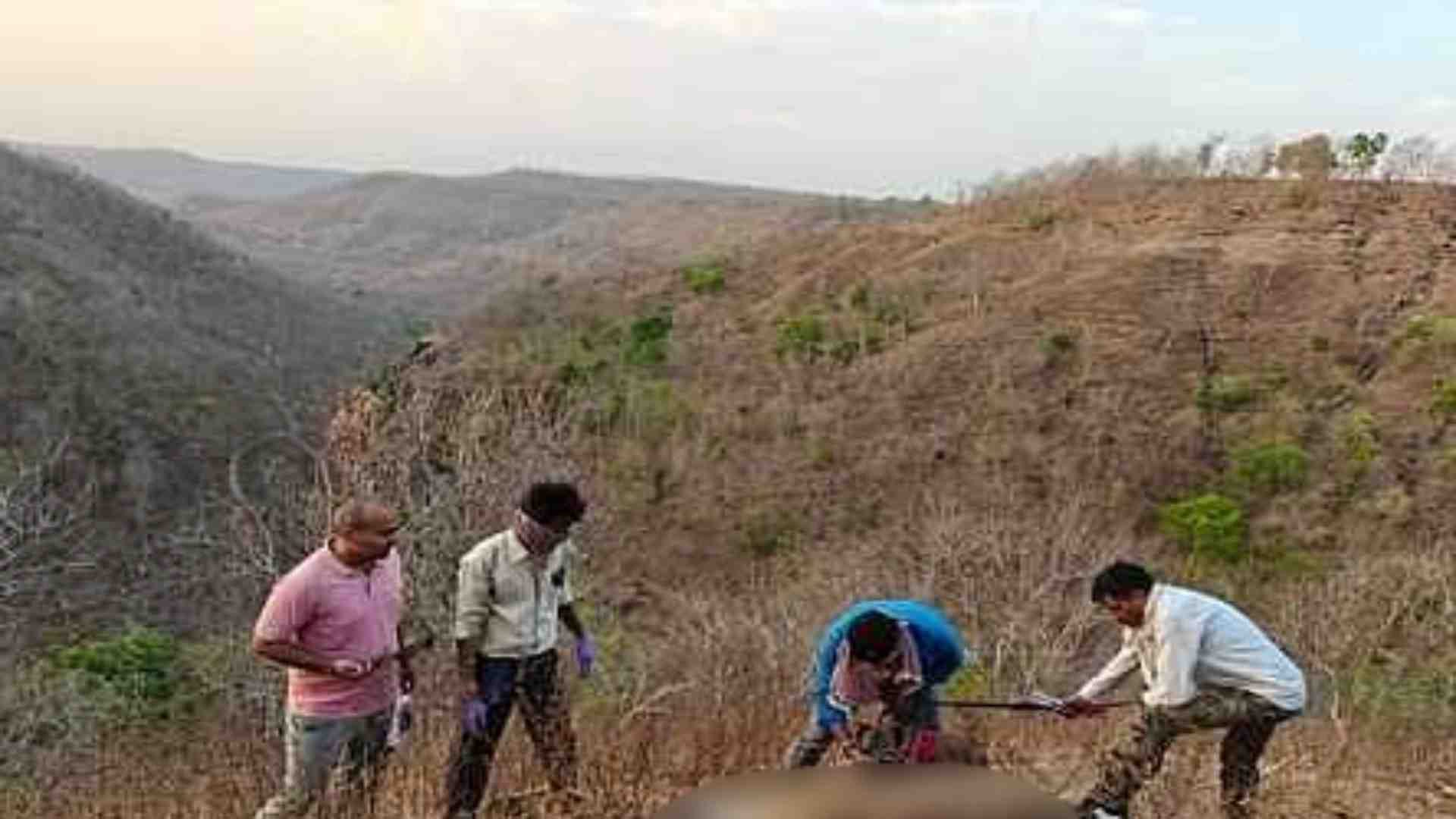 कार्रवाई के लिए पहुंची वन विभाग की टीम।
