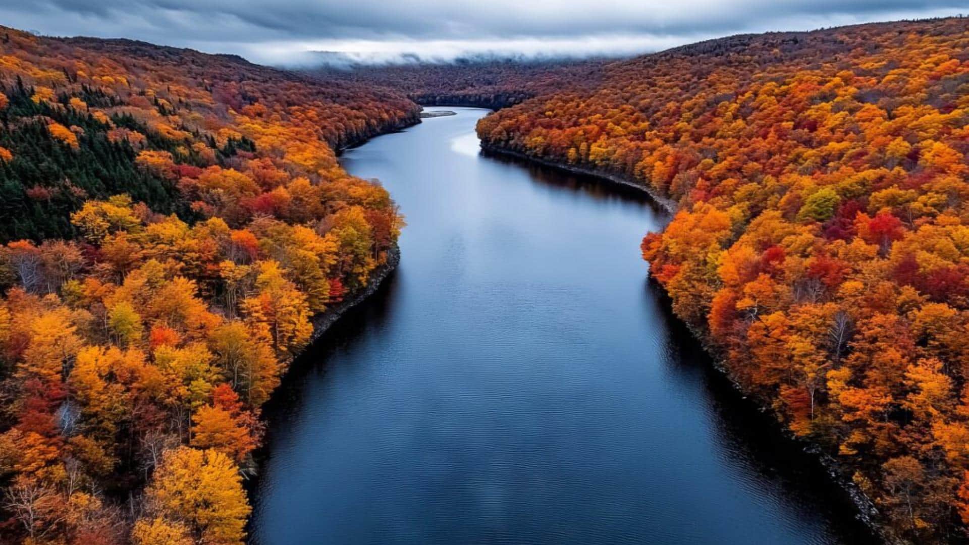 Mysterious boiling river Mayantuyacu of Amazon Forest Kills Everything That Falls Into It Hindi news