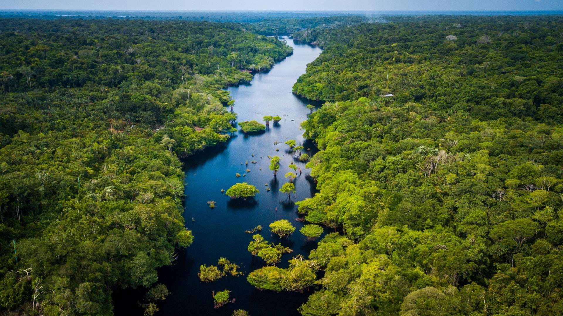 Mysterious boiling river Mayantuyacu of Amazon Forest Kills Everything That Falls Into It Hindi news