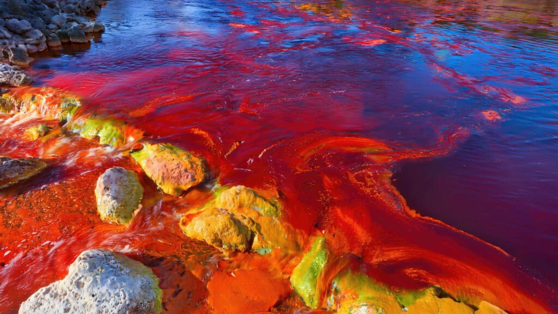 List of Five Most Dangerous Rivers in the World Know Name Location and Facts in Hindi